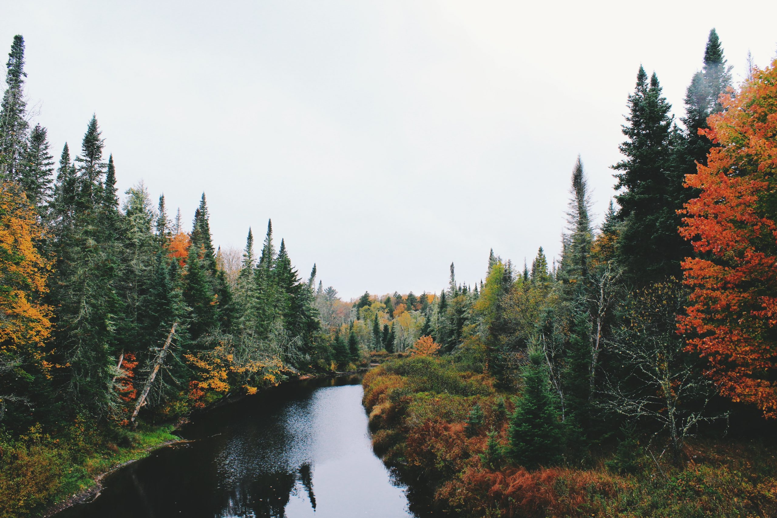 Herbstlandschaft, Fluss, Natur, Herbststimmung, Jahrekreisfest Mabon
Quelle: Unsplash / Noah Silliman