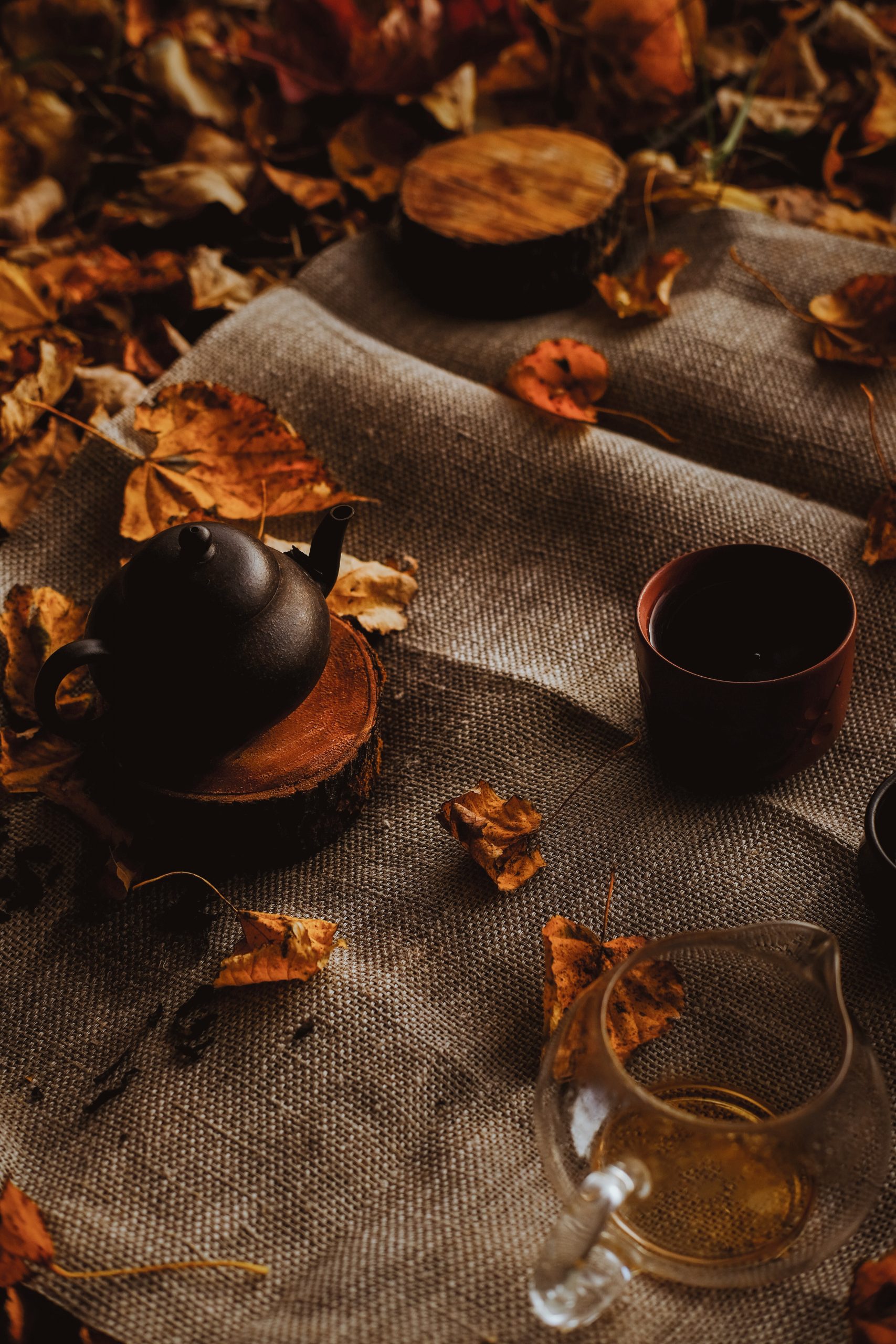 Herbststimmung, Jahreskreisfest Mabon, Fall Equinox 
Quelle: Unsplash / Sergey N.