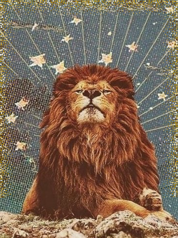 Löwe Saison, Astrologie, Horoskop, Sternzeichen, Spiritualität
Quelle:Canva