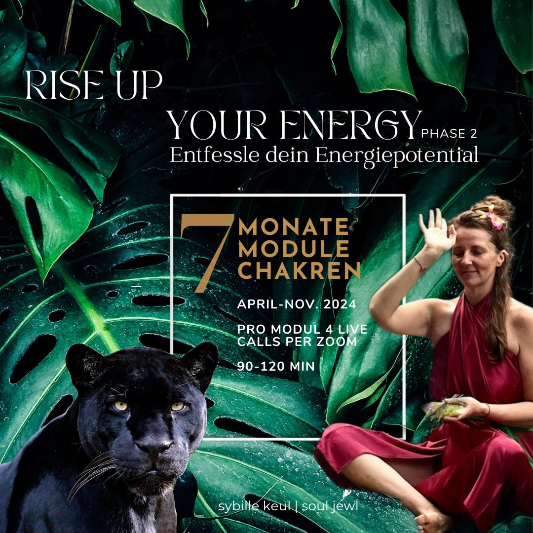 Rise up Your Energy Phase 2, entfessle dein Energiepotential, 7 Monate, 7 Module, 7 Chakren, Sybille Keul